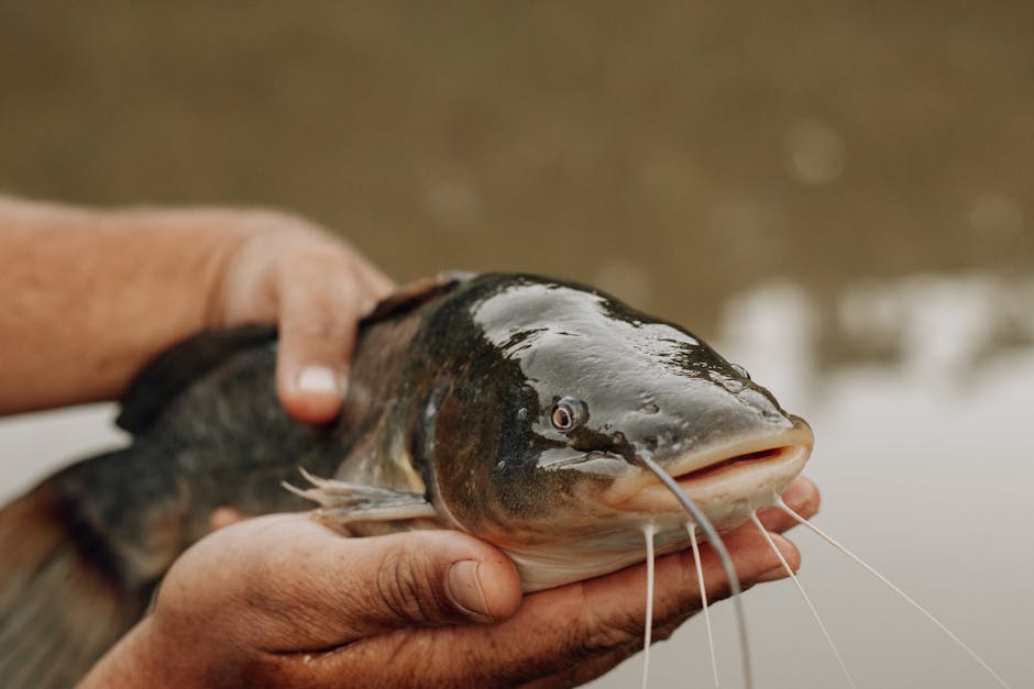 Imagem realista de pesca de bagre no inverno