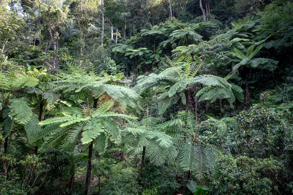 A person camping in the jungle, surrounded by lush greenery and exotic plants