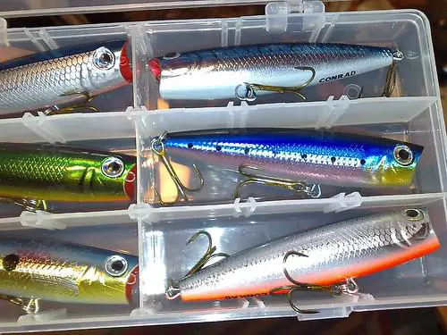 A variety of fishing lures, both natural and artificial, displayed on a table.