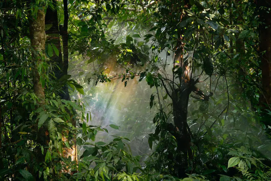 Image depicting various jungle traps being set up in the wilderness by a survivalist