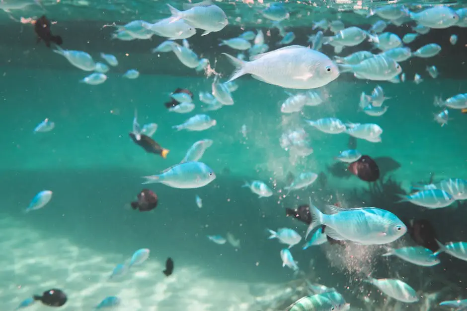 Peixes nadando em águas profundas durante o inverno