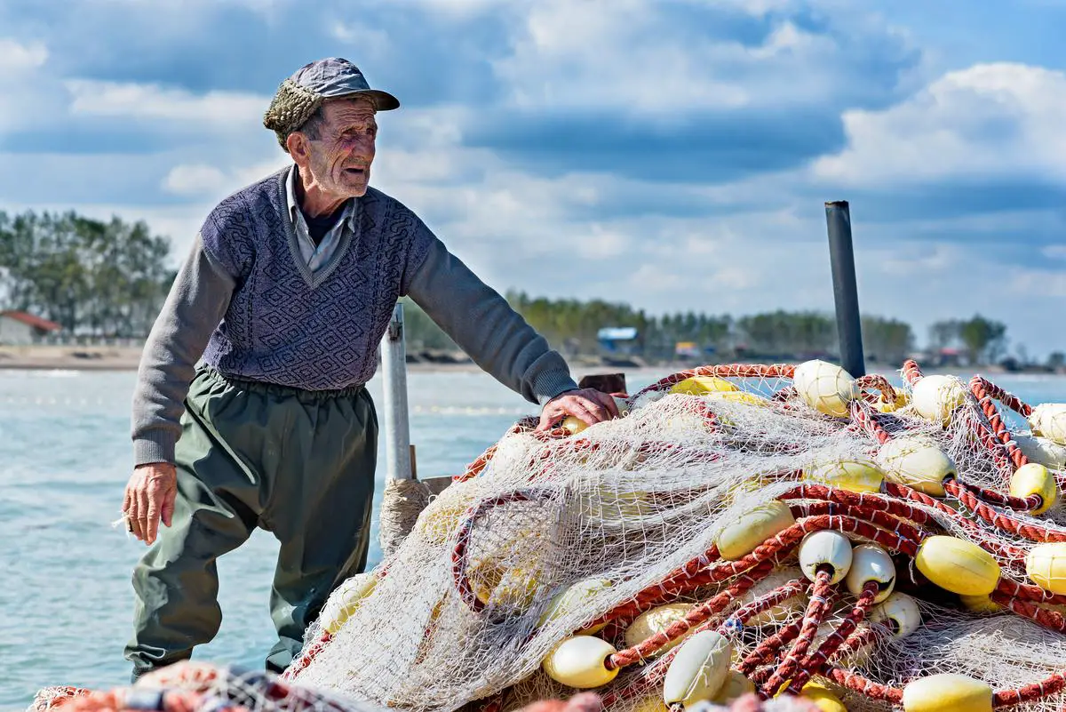 Imagem de uma pesca sustentável no Brasil mostrando a diversidade de peixes e pescadores respeitando as regulamentações