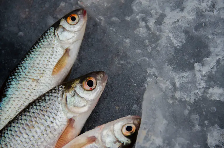 Imagem realista de pescadores pescando carpas em um lago congelado no inverno