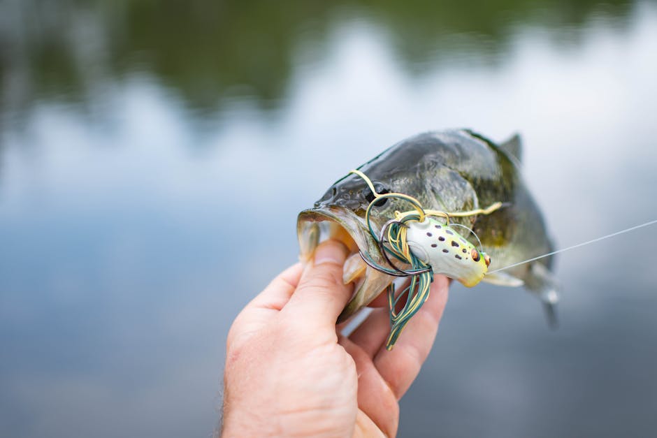 Imagem realista de pesca de robalo no inverno