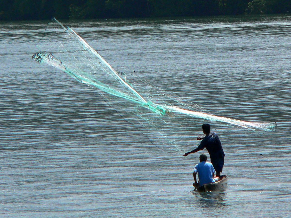 Um pescador lançando uma linha de pesca multifilamento em uma área de vegetação subaquática densa