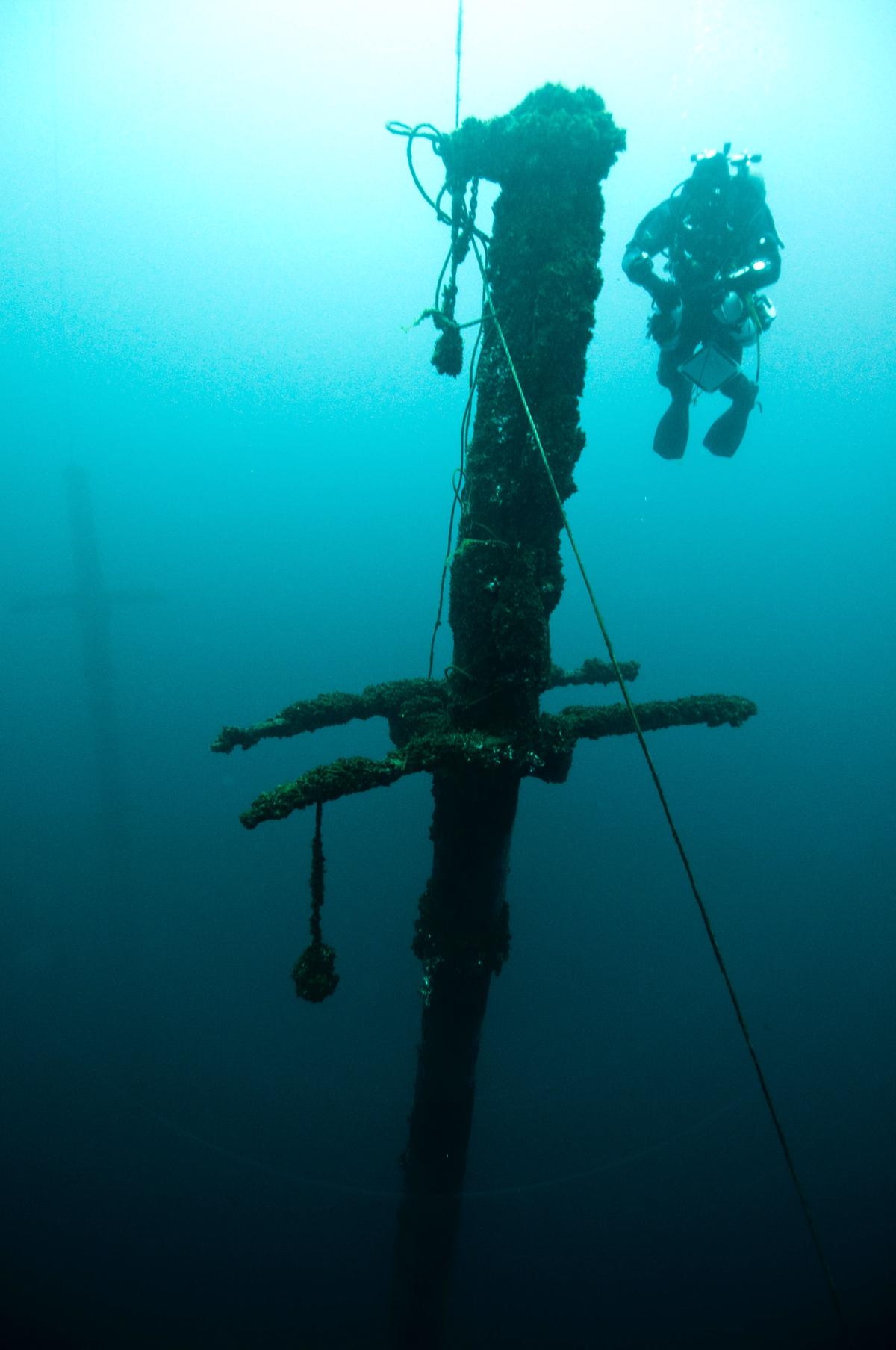 Imagem de um mergulhador subaquático praticando pesca submarina