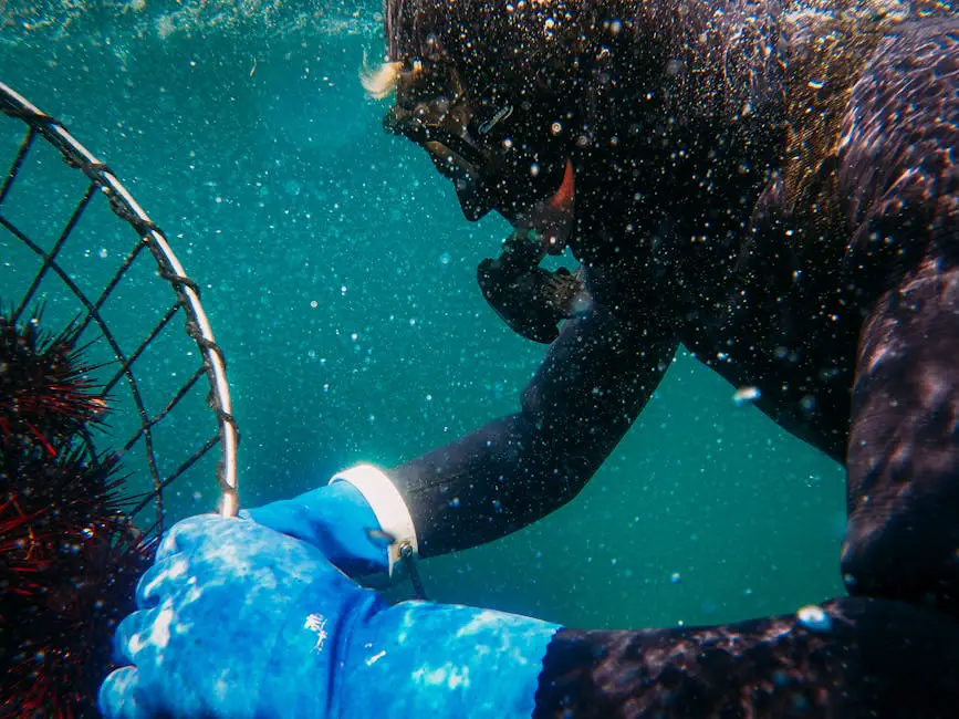 Pescador submarino no inverno com arpão em mãos, mergulhando em águas geladas