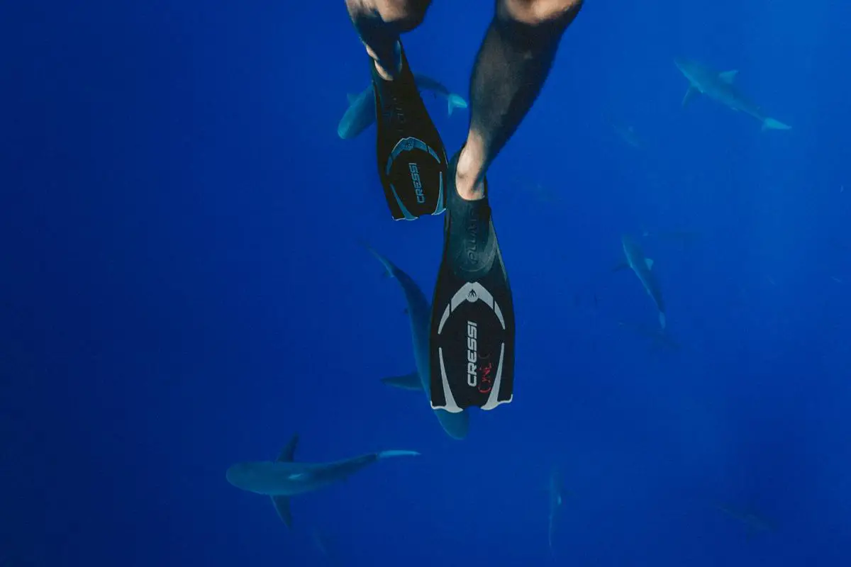 Imagem realista de um pescador submarino no inverno, equipado com traje de neopreno, máscara, snorkel, aletas e arma pneumática, em um ambiente subaquático gelado