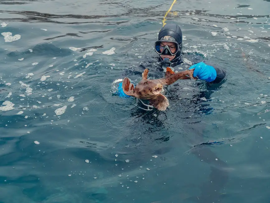 A imagem mostra um mergulhador subaquático segurando um peixe capturado durante a pesca submarina, com o fundo do oceano como pano de fundo.