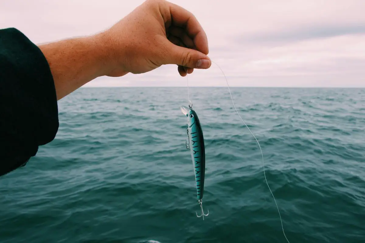 Pescador brasileiro utilizando anzóis de alta qualidade durante a pesca