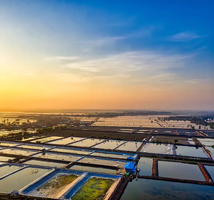 A imagem ilustra uma piscicultura sustentável, com tanques de criação de peixes em um ambiente natural e saudável.