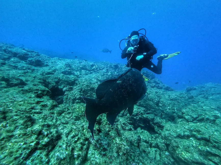 A person underwater holding a trophy fish while scuba diving